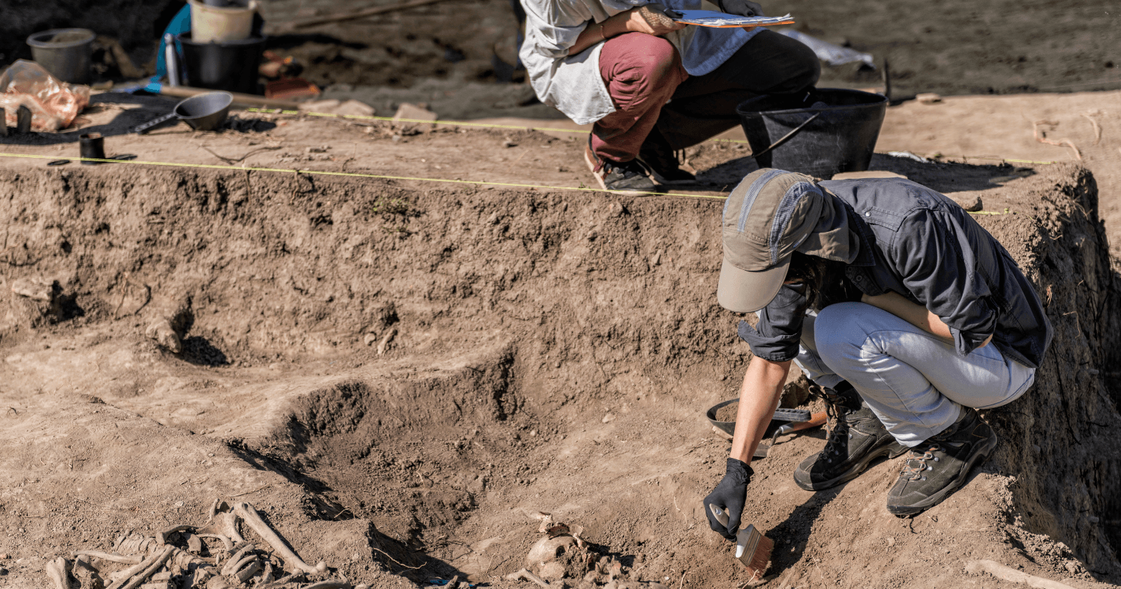 Scottish fossil discovery pushes back land animal evolution by 14 million years