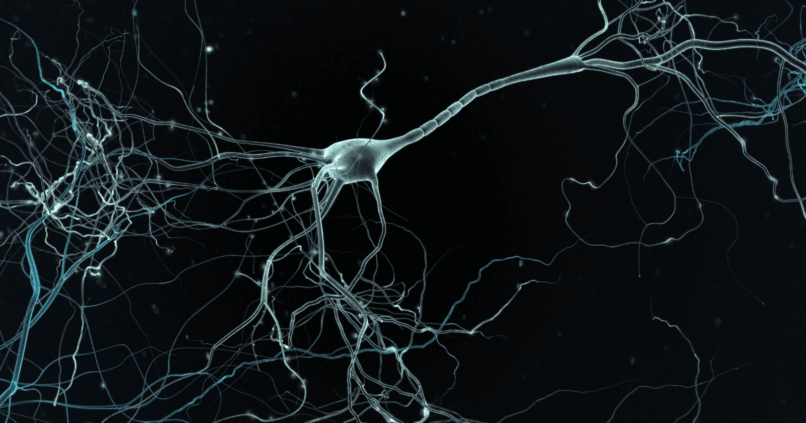 Scientists discover overlooked brain cell type that may explain unlimited human memory capacity