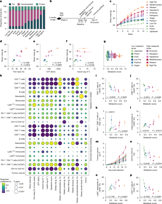 Diet and gut microbes enhance cancer immunotherapy response in mice and humans