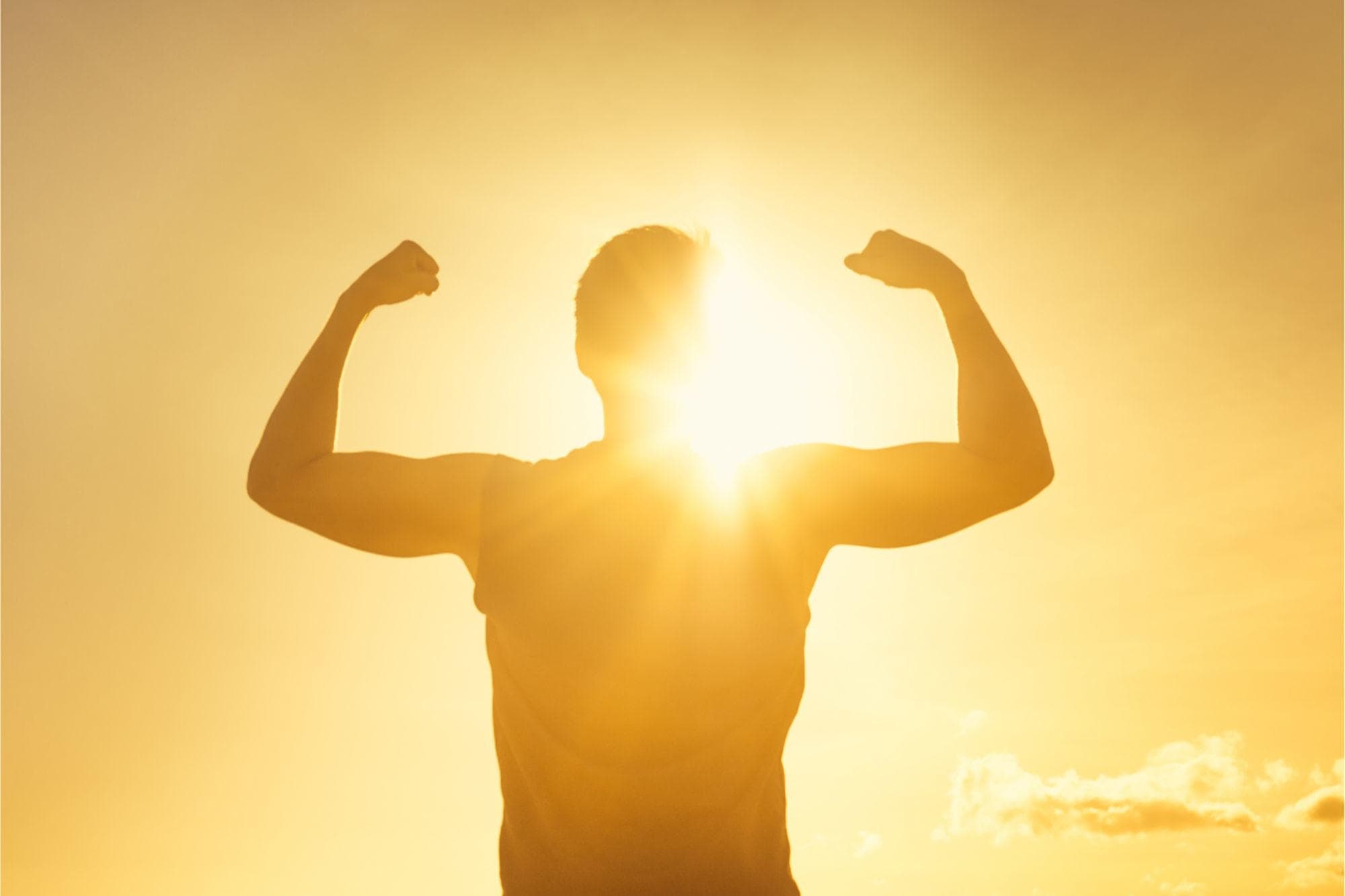 Gut microbe linked to muscle strength in aging identified by researchers